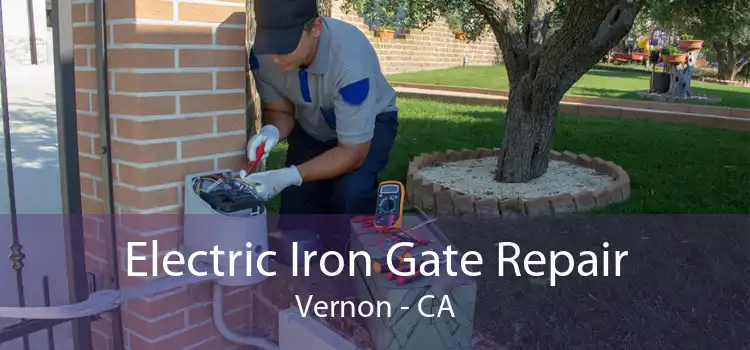 Electric Iron Gate Repair Vernon - CA