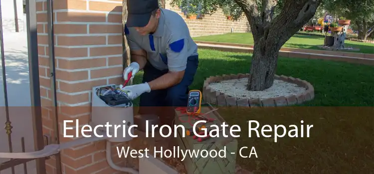 Electric Iron Gate Repair West Hollywood - CA