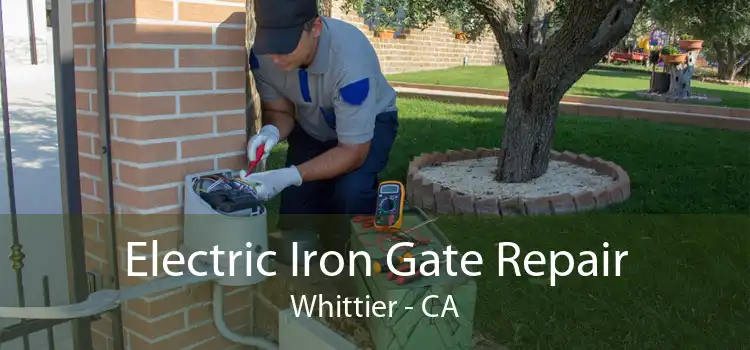 Electric Iron Gate Repair Whittier - CA