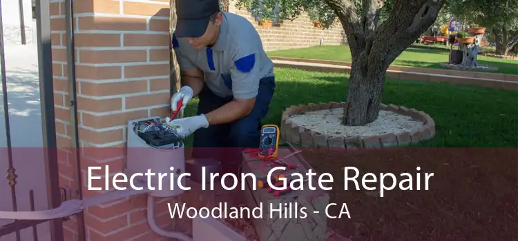 Electric Iron Gate Repair Woodland Hills - CA