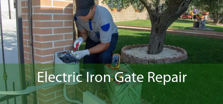 Electric Iron Gate Repair 