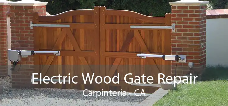 Electric Wood Gate Repair Carpinteria - CA