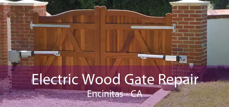 Electric Wood Gate Repair Encinitas - CA