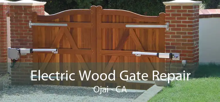 Electric Wood Gate Repair Ojai - CA